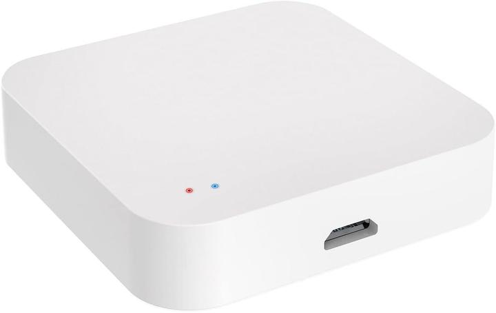 Actual product image Revolt Radiator thermostat