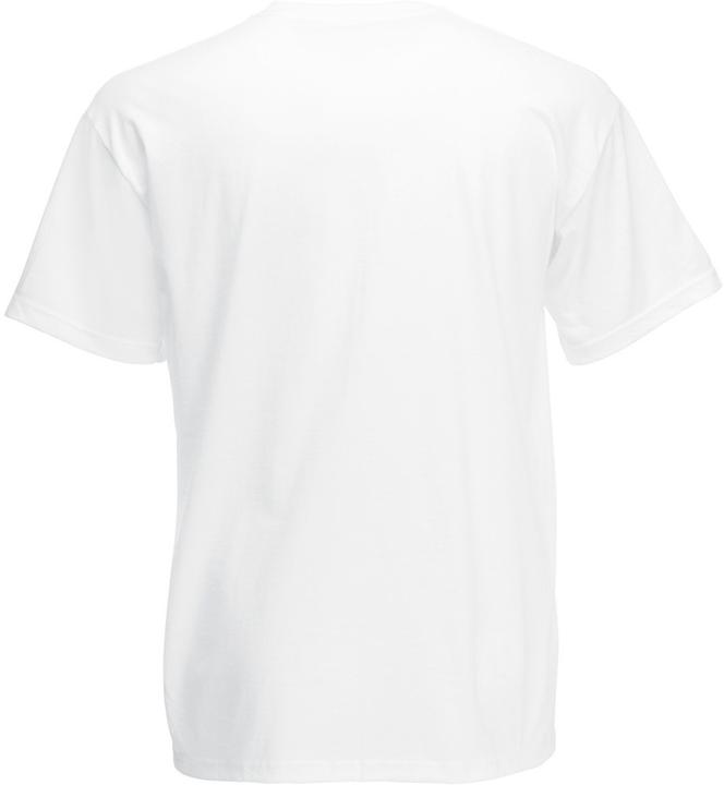 Actual product image Fruit of the Loom Screen Stars Original Tshirt (5XL)