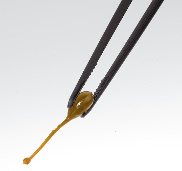 Actual product image GEFU Piccolino