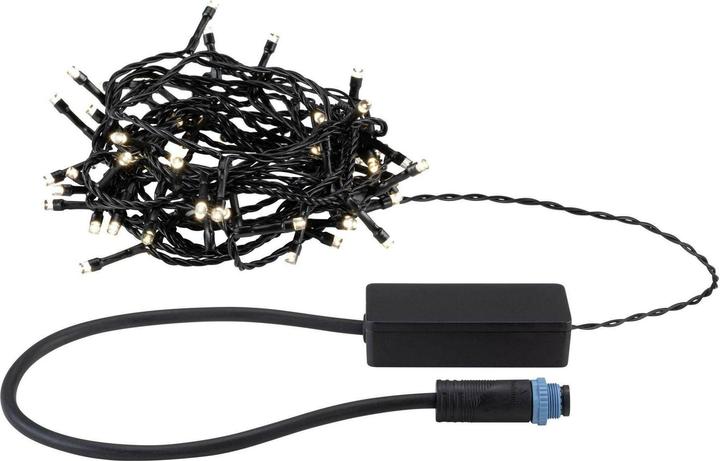 Productafbeelding Paulmann Outdoor Plug & Shine Lichterkette Yuna (7 m)