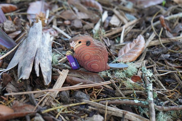 Produktbild Carletto 3D Bastelset Biber