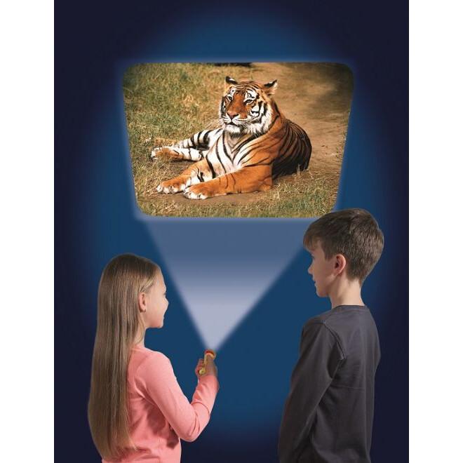 Immagine prodotto Brainstorm Torcia per animali e proiettore (Inglese, Francese, Italiano, Tedesco)