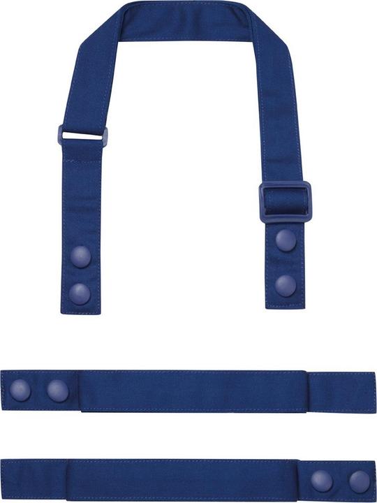 Bleu roi