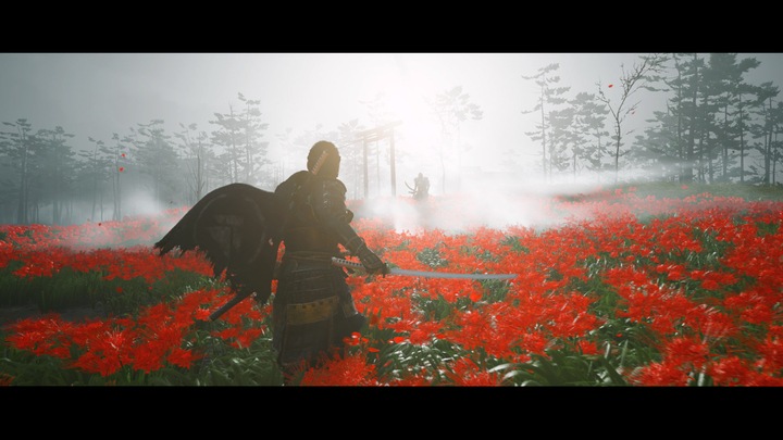 Produktbild Sony Ghost of Tsushima (PS4, Multilingual)
