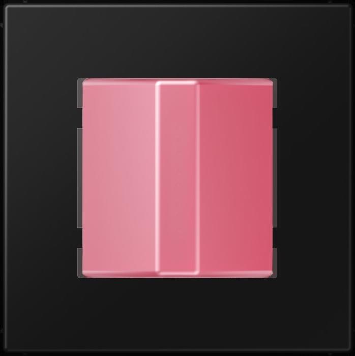 Actual product image JUNG Call module