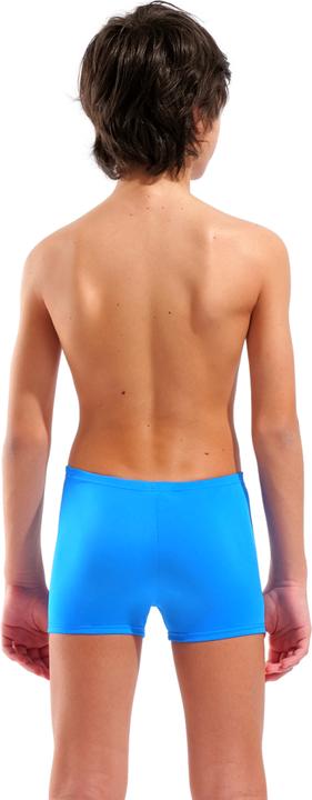 Actual product image Arena B Poseidonia Swim Short (152)