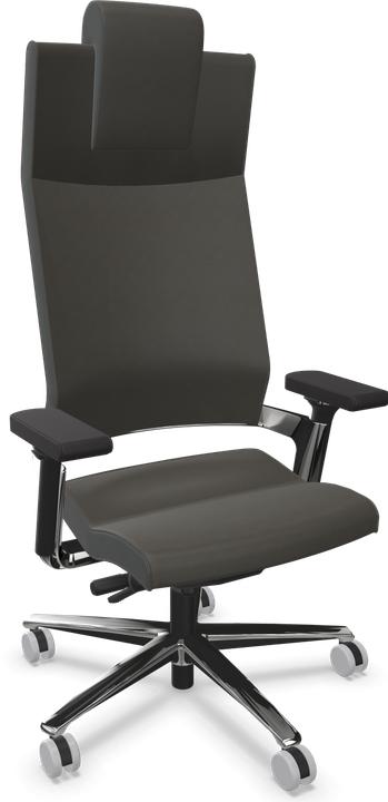 Leder Premium Graphitgrau, Poliert