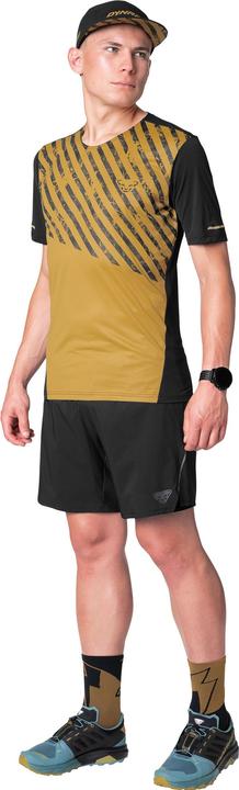 Actual product image Dynafit ALPINE PRO 2/1 SHORTS, Herren (XXL)