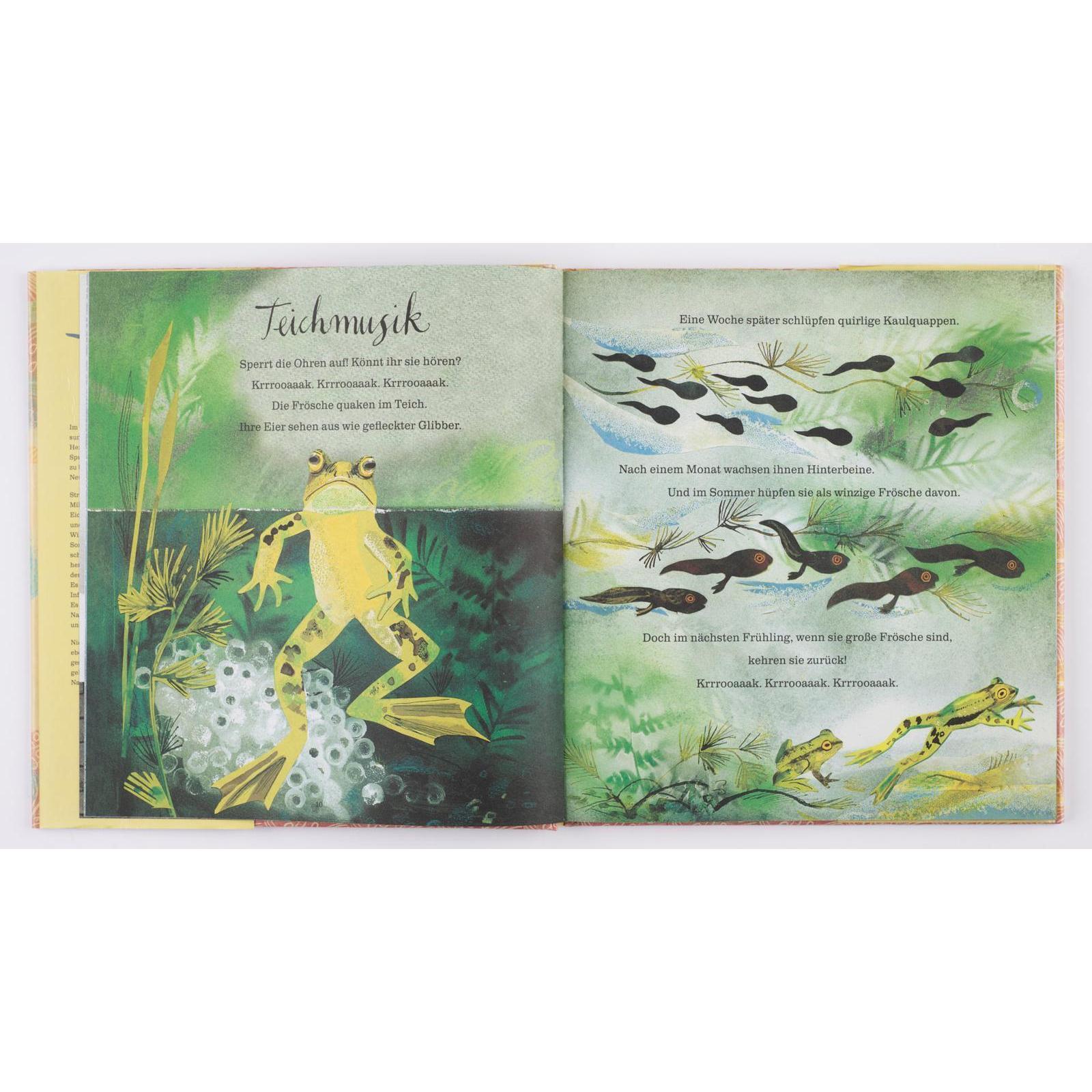 Thumbnail - Mein erstes grosses Buch von der Natur, Kinderbücher von Nicola Davies
