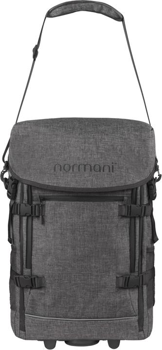 Actual product image Normani Nara (37 l)