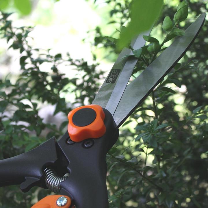 Produktbild Siena Garden Buchsbaumschere Profi Line (Manuell)