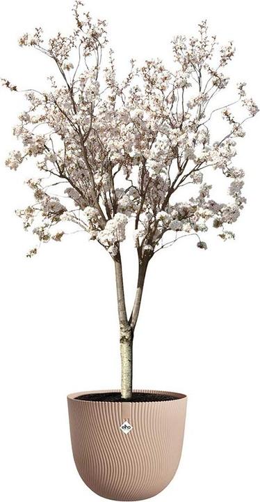 Actual product image Elho Sereh (40 x 33.30 cm)