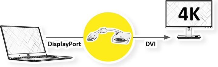 Actual product image Roline DisplayPort - DVI, 4K (DVI, 15 cm)