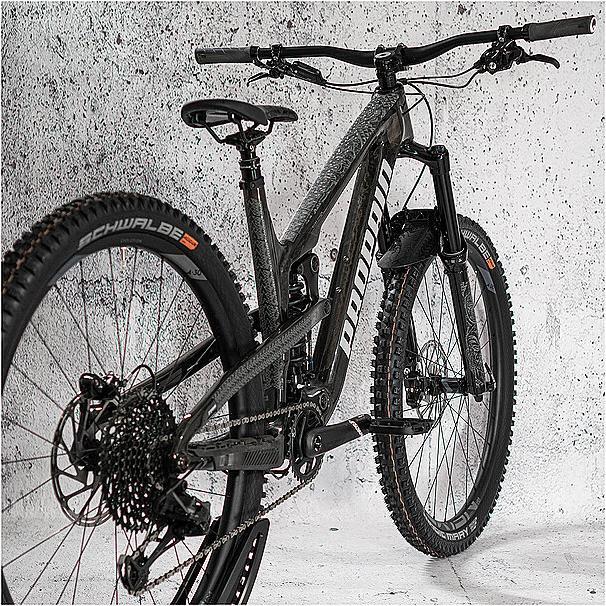 Actual product image riesel design frame