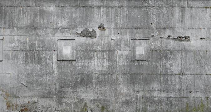 Immagine prodotto Rasch Fabbrica II Grigio calcestruzzo (558 x 300 cm)