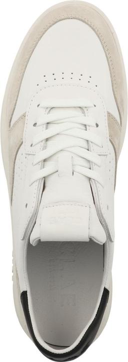 Actual product image Clae Moses (41)