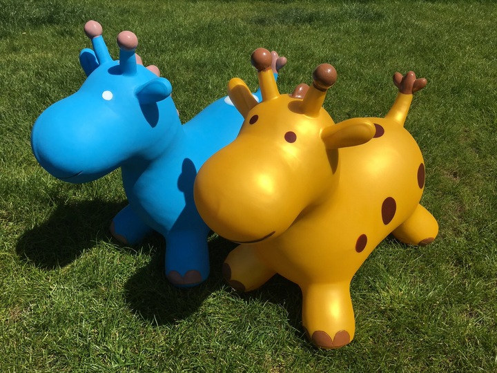 Actual product image Happy Hopperz Giraffe
