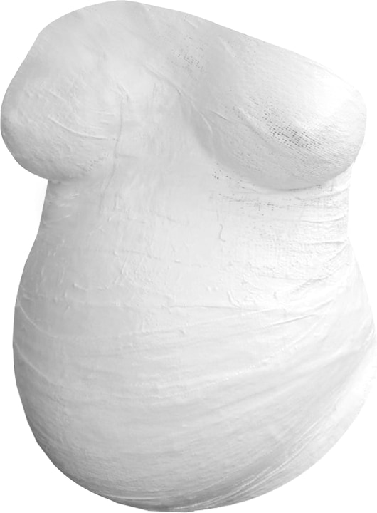 Actual product image Pearhead Set for abdominal impression