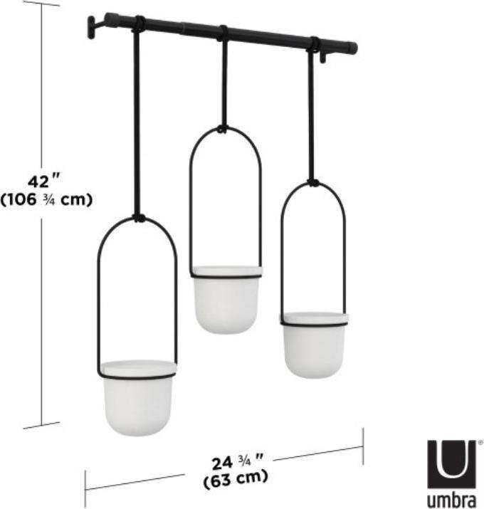 Produktbild Umbra Triflora (15 cm)