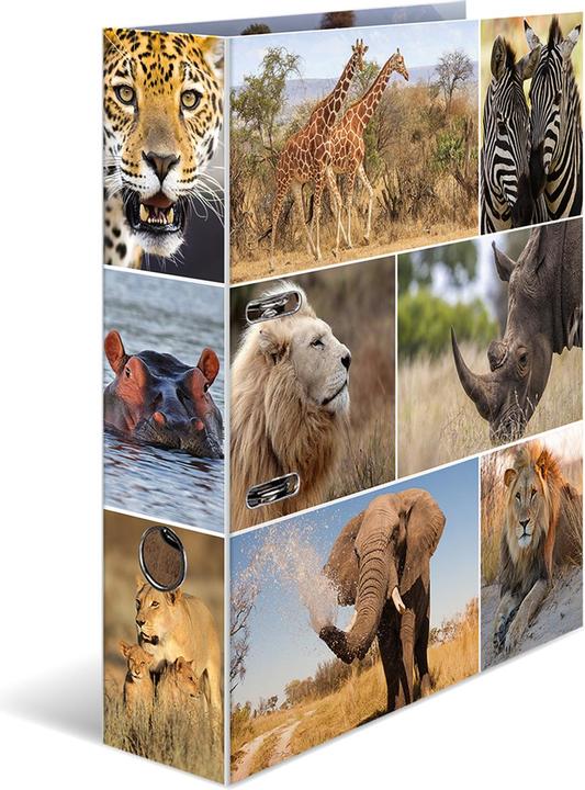 HERMA A4 folder motif (A4, 70 mm, 1 Piece)