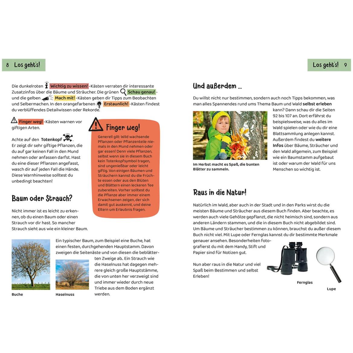 Thumbnail - Welcher Baum ist das? Kindernaturführer, Kinderbücher von Holger Haag