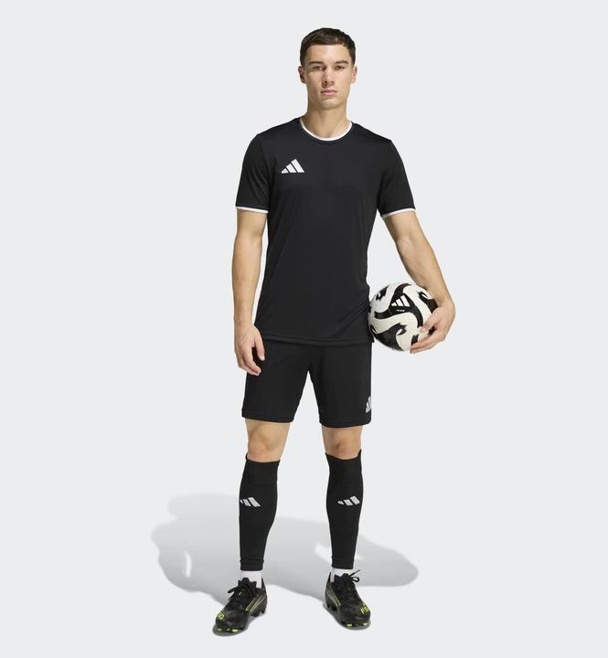 Produktbild Adidas Entrada Shorts (L)