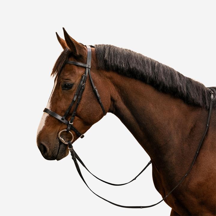 Actual product image Fouganza Snaffle Schooling Leather