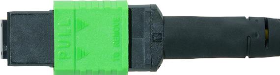 Image du produit LogiLink Prüfen (5 m)