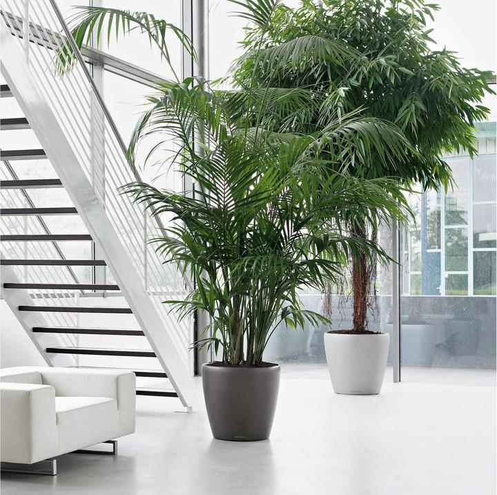 Produktbild Lechuza CLASSICO Premium 60 hochglanz (60 x 55.50 cm)