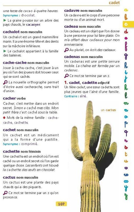 Immagine prodotto Il dizionario Larousse dei bambini, 6-8 anni, CP-CE (Francese, Collettività, 2024)