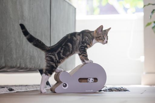 Produktbild Beeztees Kratzbrett Maus (Grau)