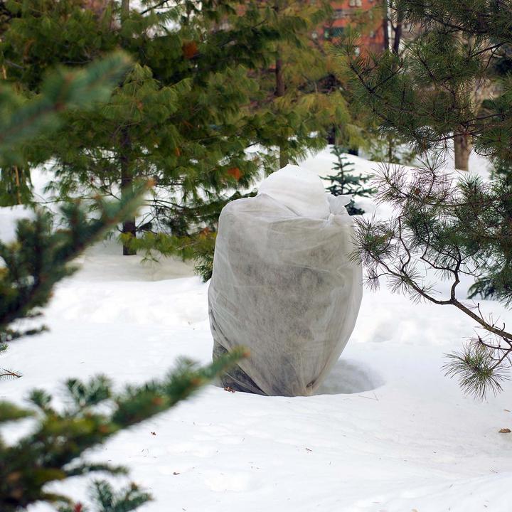 Immagine prodotto Toboli 2x piante protettive invernali 120x180cm 70g/m² protezione antigelo copertura protettiva in pile