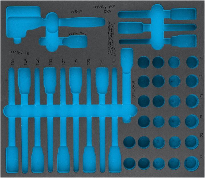 Produktbild HAZET 2-Komponenten Weichschaum-Einlage 163-545L