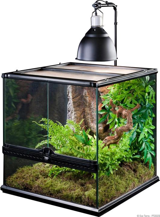 Actual product image Exo Terra Light Holder