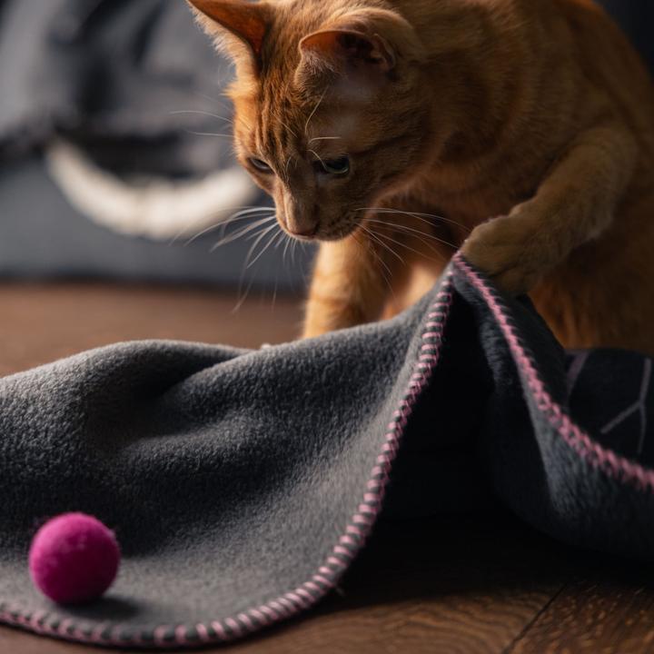 Immagine prodotto LucyBalu CUDDLE Katzendecke - Hello Kitty Edition (Gatto)