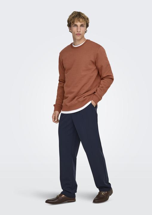 Produktbild Only & Sons Onsconnor Reg Crew Neck Sweat Noos (S)