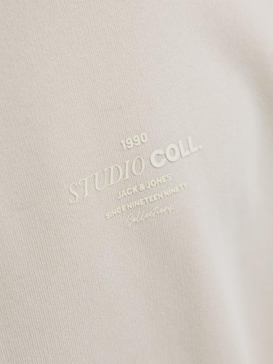 Produktbild Jack & Jones Gedruckt Sweatshirt Junior Sweatshirt (152)