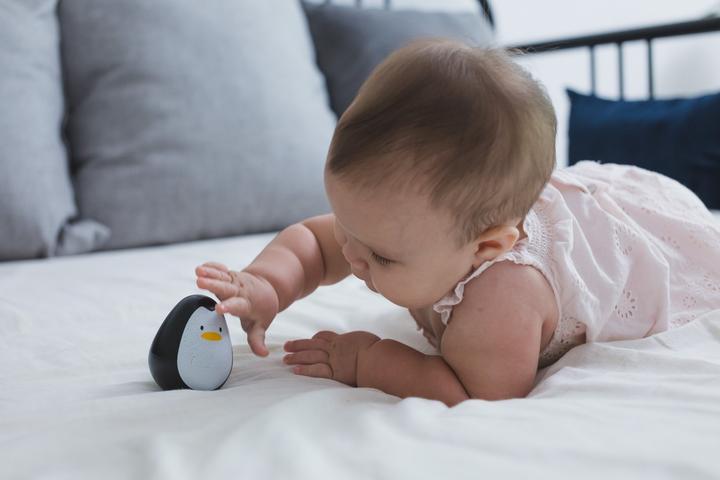Produktbild Plantoys Wackel-Pinguin