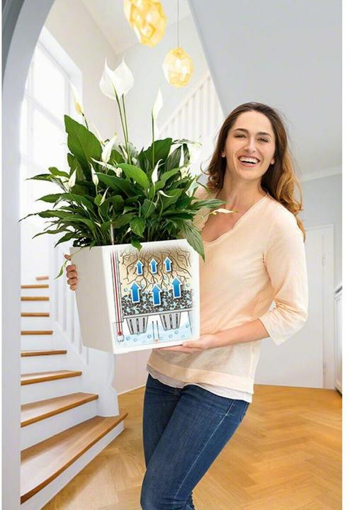 Produktbild Lechuza Cube (29.50 x 29.50 x 30 cm)