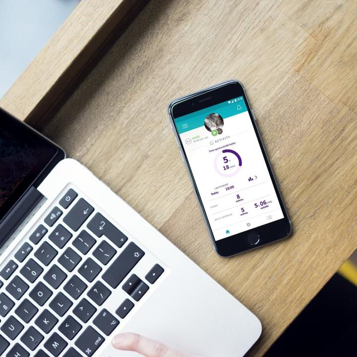 Actual product image SureFlap Sfidscfwtb1 (Microchip Cat Flap)