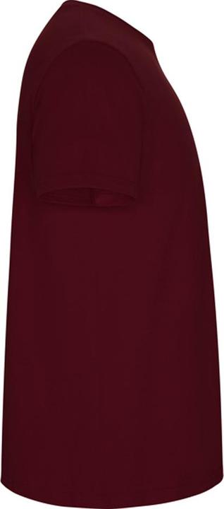 Produktbild Alpinia Stafford TShirt
