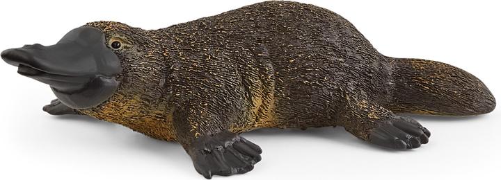 Image du produit Schleich Ornithorynque