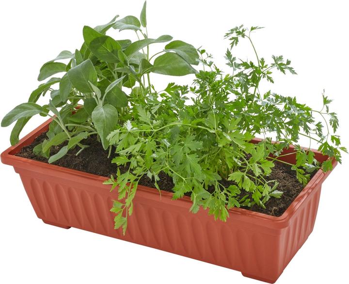 Image du produit tectake Jardinière verticale avec 4 bacs à fleurs
