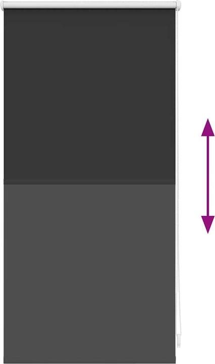 Produktbild vidaXL Verdunkelungsrollos (40 x 100 cm)