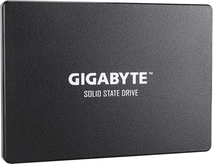 Produktbild Gigabyte GP-GSTFS31100TNTD (1000 GB, 2.5")