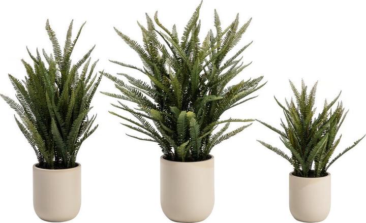 Immagine prodotto DPI Giardino (120 cm)