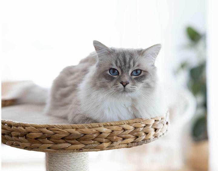 Produktbild Kerbl Waxy (104 cm, Beige)