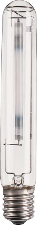 Actual product image Philips Mstsontapiaplusxtra