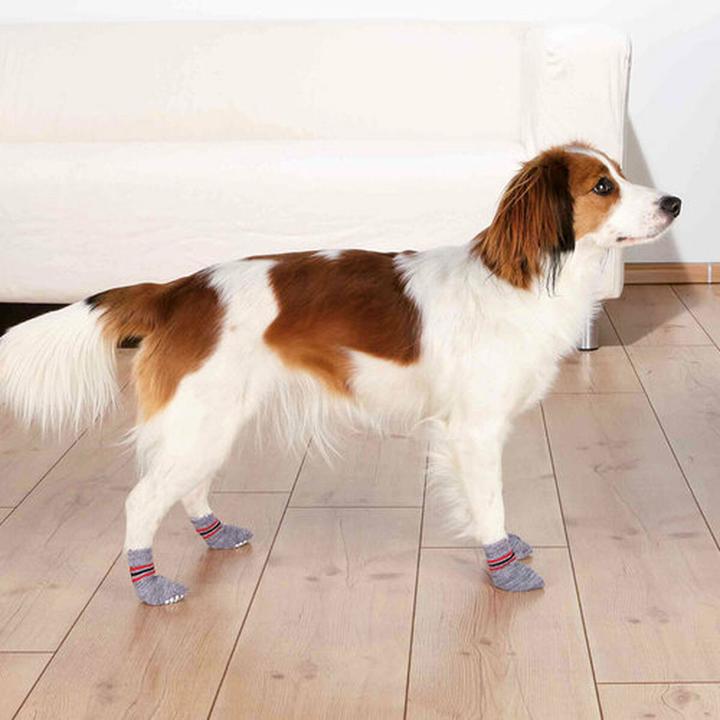 Actual product image Trixie Dog socks (S, XS, Dog socks)