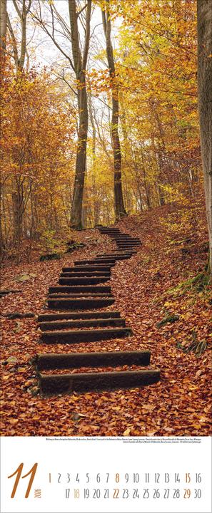 Produktbild Zauberhafte Wege 2026 (28.5 x 69 cm, Harter Einband, Deutsch)